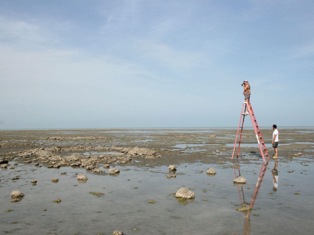 تثمين جزيرة فيلكا تمهيداً لمشروع الجزر