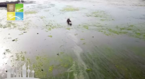 595a9fc2-1cd7-4bcf-ba7a-84287dca0a5c