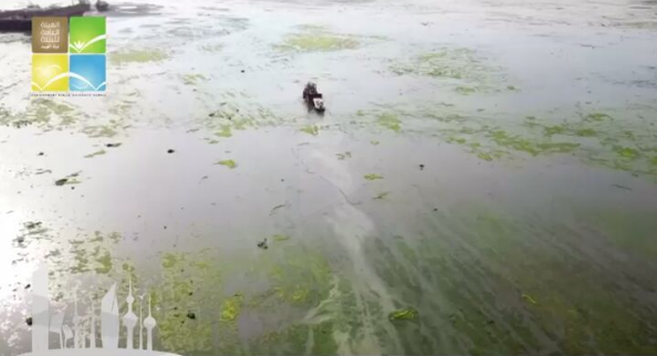 #البيئة : لن نتوانى عن محاسبة من تسول له نفسه العبث في البيئة