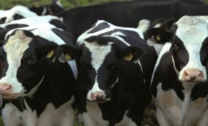 6259c7e8-5fd9-43e7-9fad-5c4f77979ea1