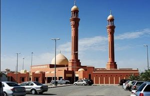 7778ea08-6abc-4689-aca2-774ffacf8d03