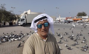 اماراتي يستقطع من راتبه التقاعدي لإطعام الطيور في رأس الخيمة