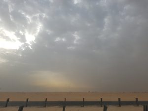 b2affdb6-f952-4646-b73d-376de1fc23a7