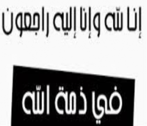 cec9073b-e953-4181-91c2-6e76b8ea200d