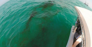 e6dafa21-7fb5-49ed-8b90-69750f1d3e03