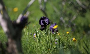 014e04a2-5ea3-4fd3-917b-21238a36e0f4