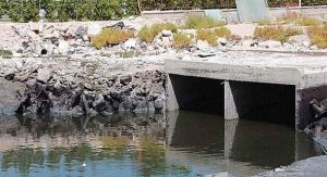 0b2bd673-7436-4b1c-91d9-371032f32454