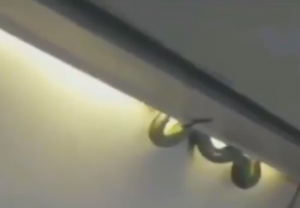 0c55867b-7436-4af7-ab9c-5ca309d33a2a