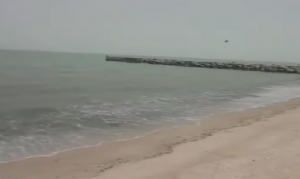 2784103e-5f6c-4a17-9913-8f9fab76b23a