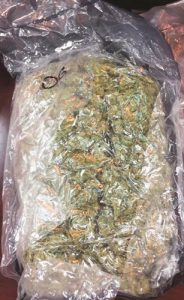 66d52156-bc8e-45bb-b393-59365d8efac1