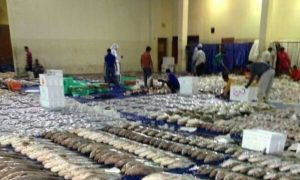 6a802cdb-4f0a-4361-a8f1-9be52569977c