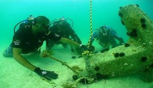 8e68ff16-32ee-4152-9325-b7dd9ad24656