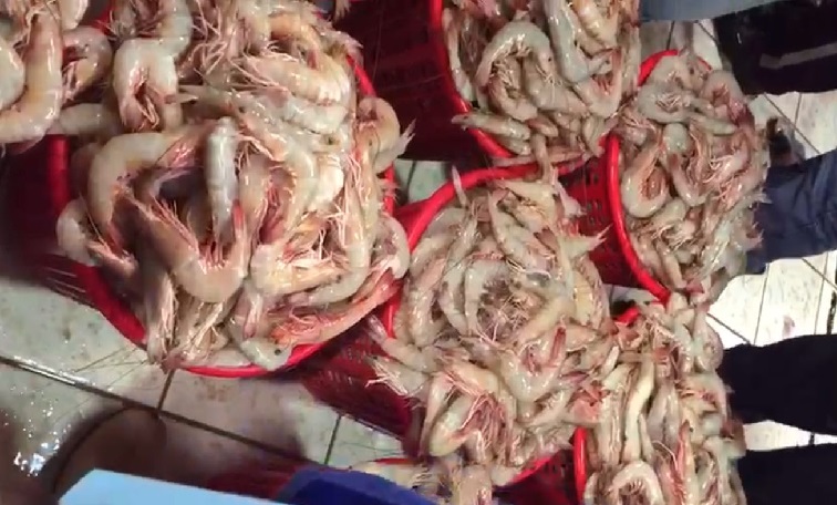 اتحاد الصيادين لـ”جابر المبارك”: أنصفنا يا سمو الرئيس