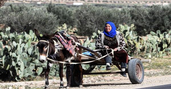نساء العالم… يوم واحد لحقوق كثيرة