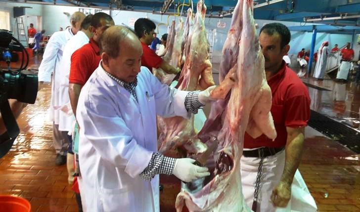 زيادة أسعار الذبح في مسلخ الظهر من دينار إلى 4 دنانير