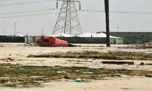 cdc25f25-0df0-45e1-8008-037a4ed84a7f