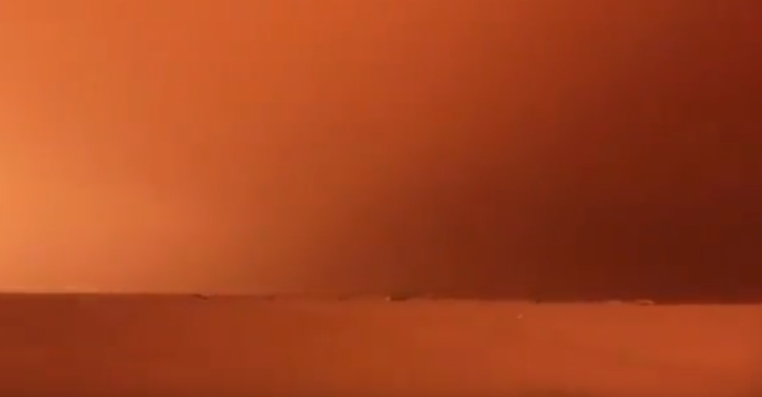 بالفيديو.. شاهد العاصفة الغبارية في بر السالمي حالياً