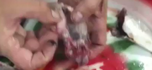 493d25b7-df39-4b5a-b489-305e5e776732