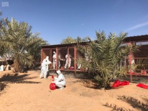 509f430c-28ff-42ce-a65a-bddff4686f9a