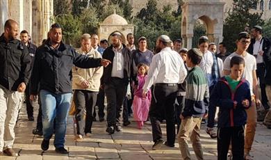 مستوطنون يقتحمون المسجد الأقصى وسط حماية من شرطة الاحتلال