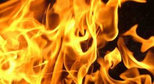 70638b65-91aa-4517-b9ef-626d30bad78b