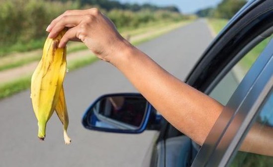 لن تصدق عقوبة هذا الفعل في الإمارات.. فحذار!