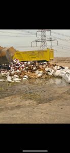 85a647b8-4939-4157-a896-6e0680c6b935