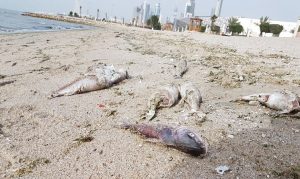 e41b0d19-8d1d-47c6-8735-3b2f3bfca153