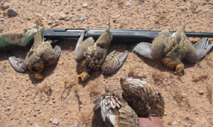 ed9fcaf6-049c-4adf-a985-10a27b095ed1