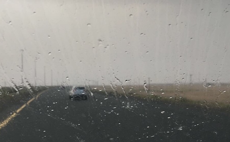 أمطار في مزارع العبدلي والروضتين