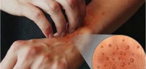 f6386d53-b8a9-43eb-b141-8d143c6cd862