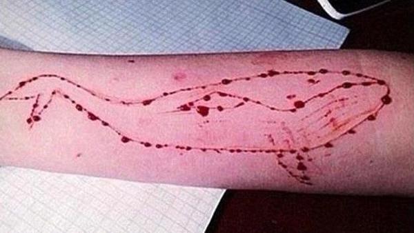 بعد تسببها في انتحار نجل نائب سابق.. “الحوت الأزرق” ممنوعة في مصر!