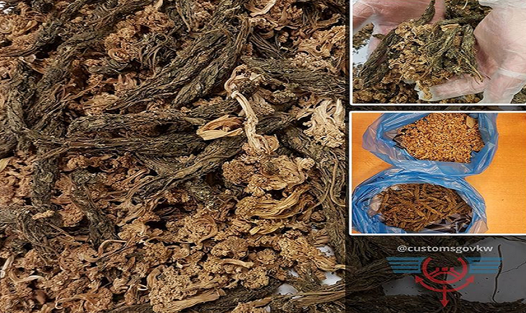 “فواكه مخدرة” في مطار سعد العبدالله