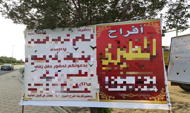 8 تعديات على أملاك الدولة و331 إعلانًا مخالفًا في مبارك الكبير