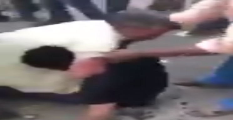 بالفيديو… هوشة الوجبات!!