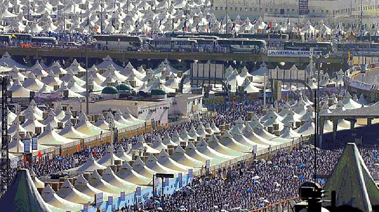الحبس سنة والغرامة 50 ألف دينار للقائمين على حملات الحج غير المرخصة