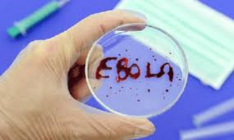 “إيبولا” يظهر في غرب أفريقيا