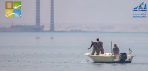 520ff2d3-d071-4440-8d26-328829e84c53