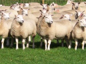 58b34bd8-e4e7-4c3e-a6f1-30308187d8f4