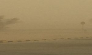 682cb441-19f3-448b-8bf0-db620e61d405