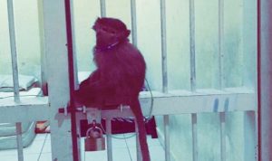 70630750-13ae-4e0d-b94d-af03fdbacf44