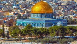 8417582e-e33f-4f4b-a2db-d0d014a0d02a