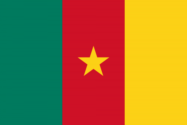 الكاميرون تستدعي السفير الأمريكى