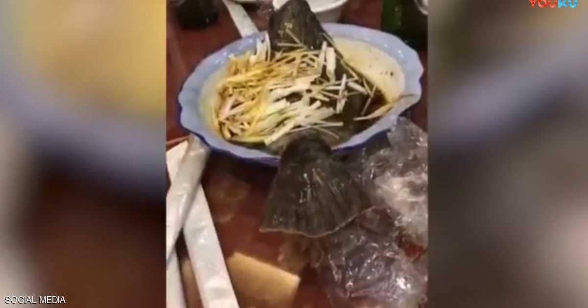 بالفيديو | “سمكة مطهية” تعود للحياة وتقفز هربًا من طبق المائدة!
