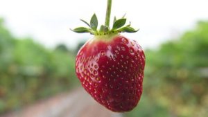 b905ddad-fa9b-4565-b2d4-b169a03496a9