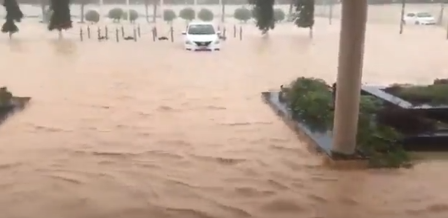 بالفيديو | ظفار العمانية.. تغرق! #ميكونو