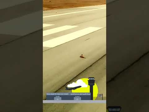 فيديو| طيار سعودي يوقف طائرته لعبور “ضب”