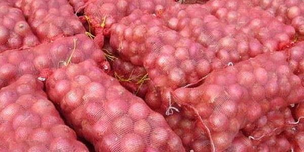 بصل الكويت.. من تركيا ومصر واليمن