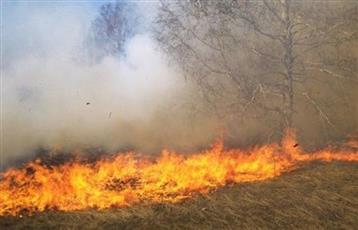 «داعش» يحرق المحاصيل الزراعية فى كركوك العراقية