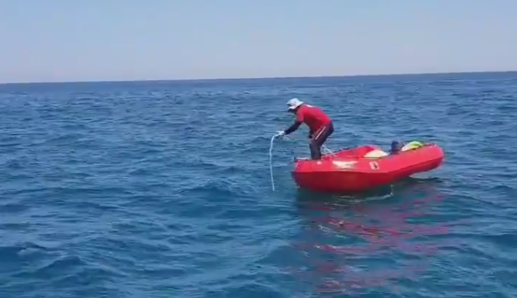 “الحوت القاتل” يظهر في مياه الكويت.. وفريق الغوص يدعو لأخذ الحيطة والحذر!